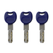 APECs AP Rim Cylinder 3 keys Replacement Door Lock Nightlatch Latch 