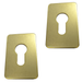 Euro Escutcheon Plate - Stick On - 70mm x 45mm Gold Brushed Silver
